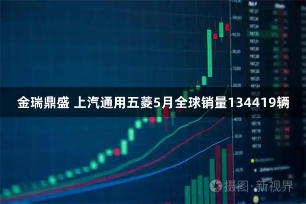 金瑞鼎盛 上汽通用五菱5月全球销量134419辆