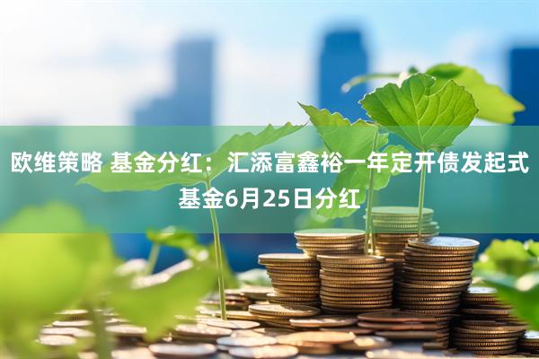 欧维策略 基金分红：汇添富鑫裕一年定开债发起式基金6月25日分红