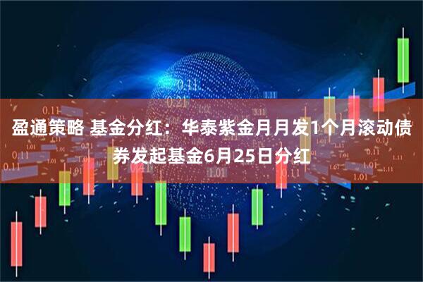 盈通策略 基金分红：华泰紫金月月发1个月滚动债券发起基金6月25日分红